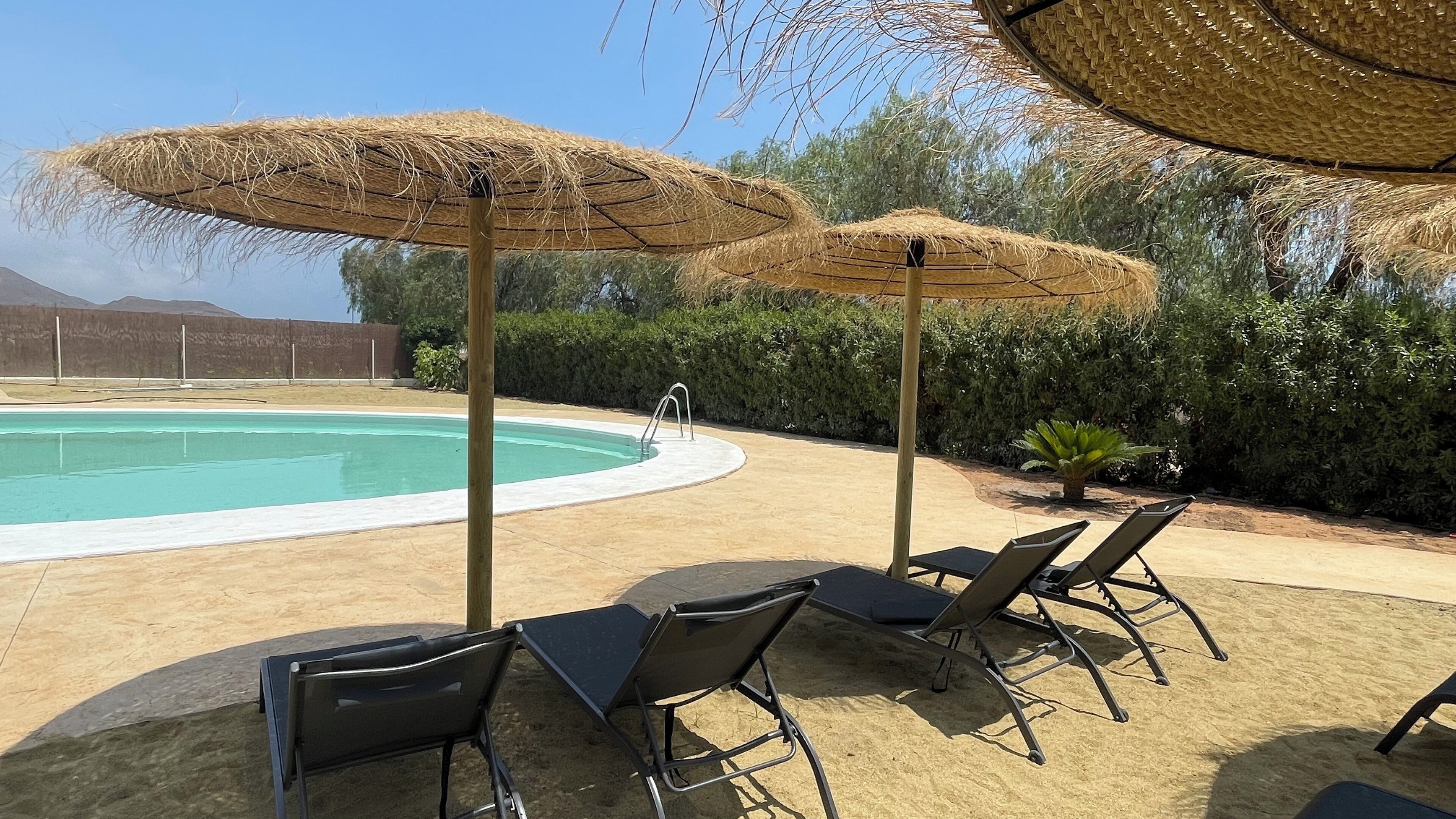 Une piscine avec des chaises longues et des parasols en chaume.