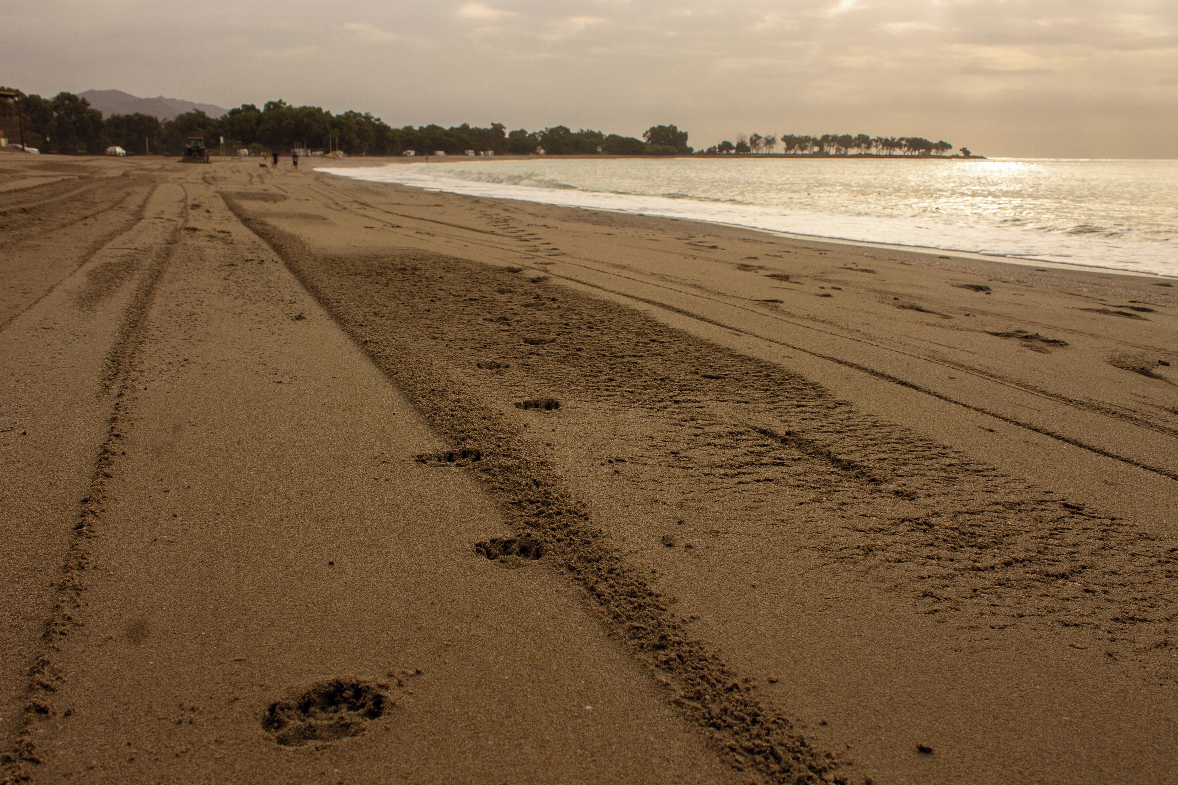 A wide sandy beach with footprints and tire tracks, a calm sea, and a distant shoreline with trees and buildings.