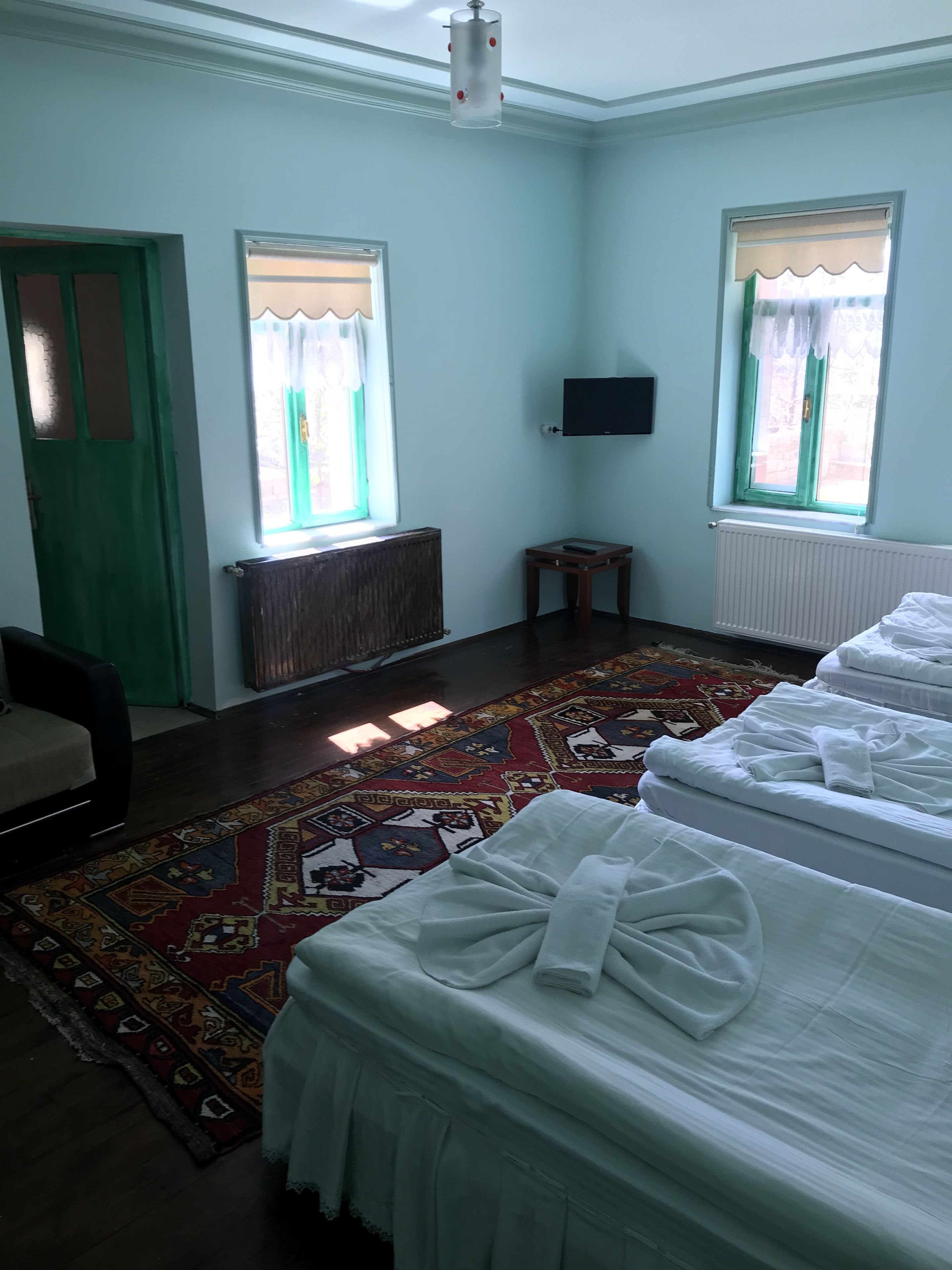 A room with two beds, a radiator, a television, and a patterned rug.