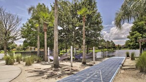 Un parque con palmeras, un sendero y un panel solar.