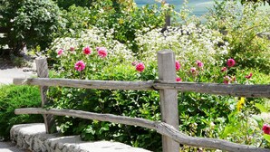 A rustic wooden fence with a stone base, surrounded by lush greenery and vibrant flowers. - Holidays - in the midst of nature - hiking in the countryside - mountain retreat (SCHLUDERNS)