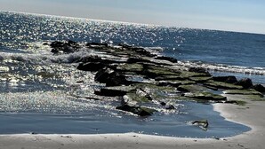 A beach with rocky outcrops and calm waves. - Ocean Views, Watch the breakers from the Deck; B side (Brigantine)