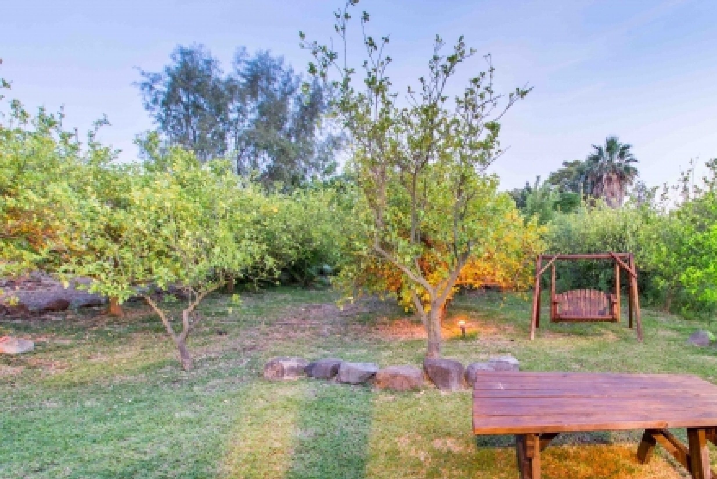 A garden with a wooden table and a swing.