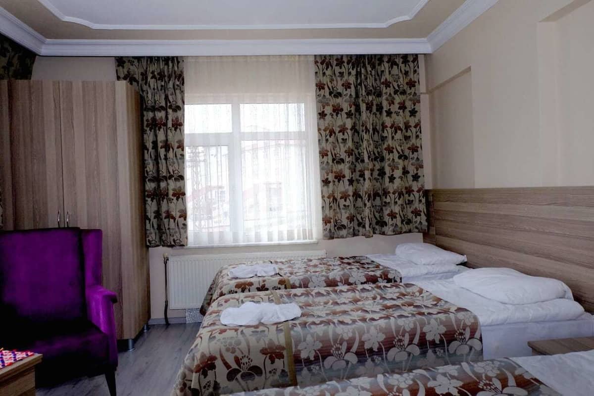 Standard Triple Room | 1 bedroom, minibar, desk, iron/ironing board (on request)