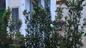 A row of potted plants with a building in the background. - Recinto Antico Sweet Rooms (Matera)