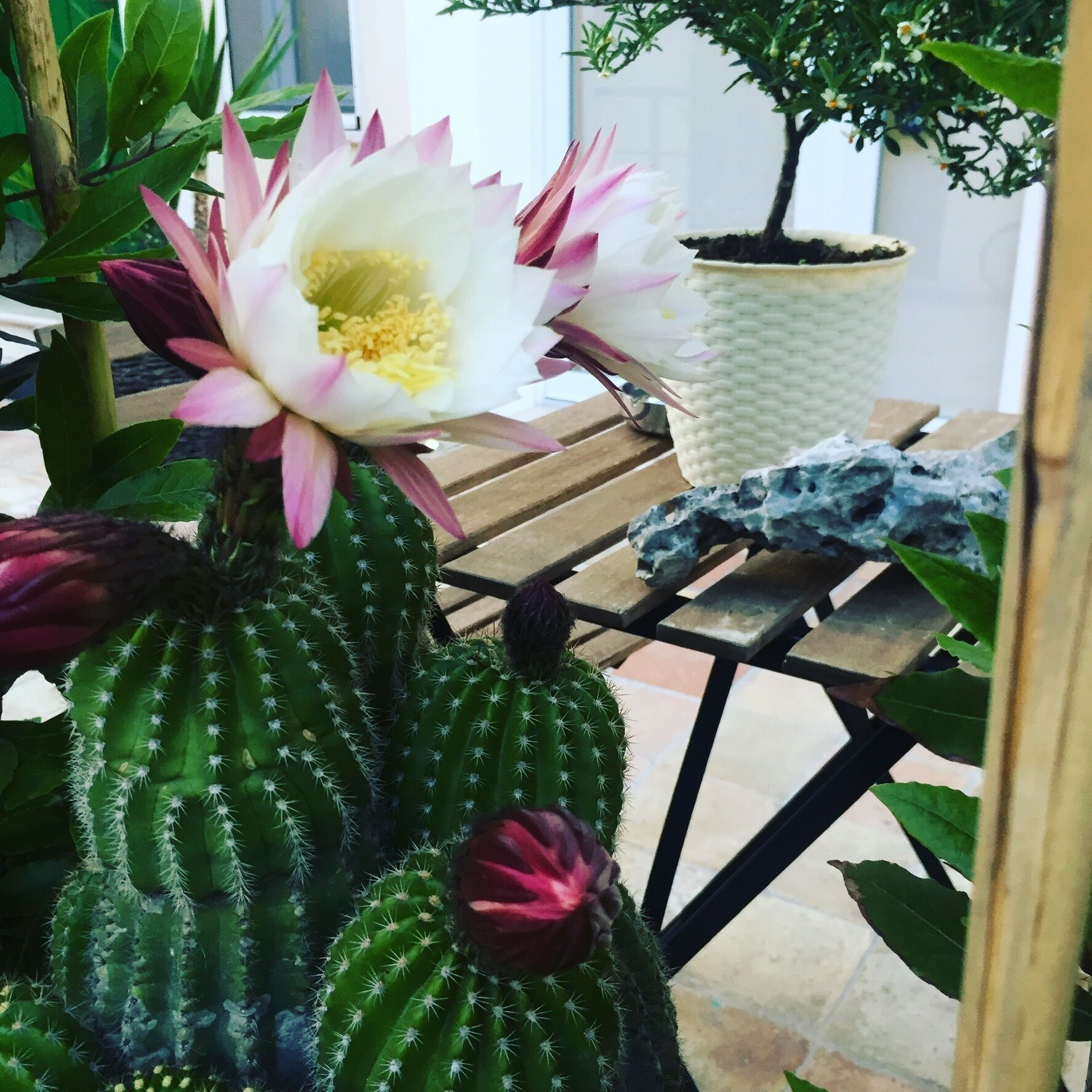 Foto - Recinto antico Sweet Rooms