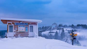 Sneeuw- en skisporten