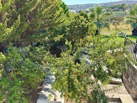 Standard Double Room | Terrace/patio