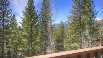 Condo, Multiple Beds, Fireplace, Mountain View | View from room