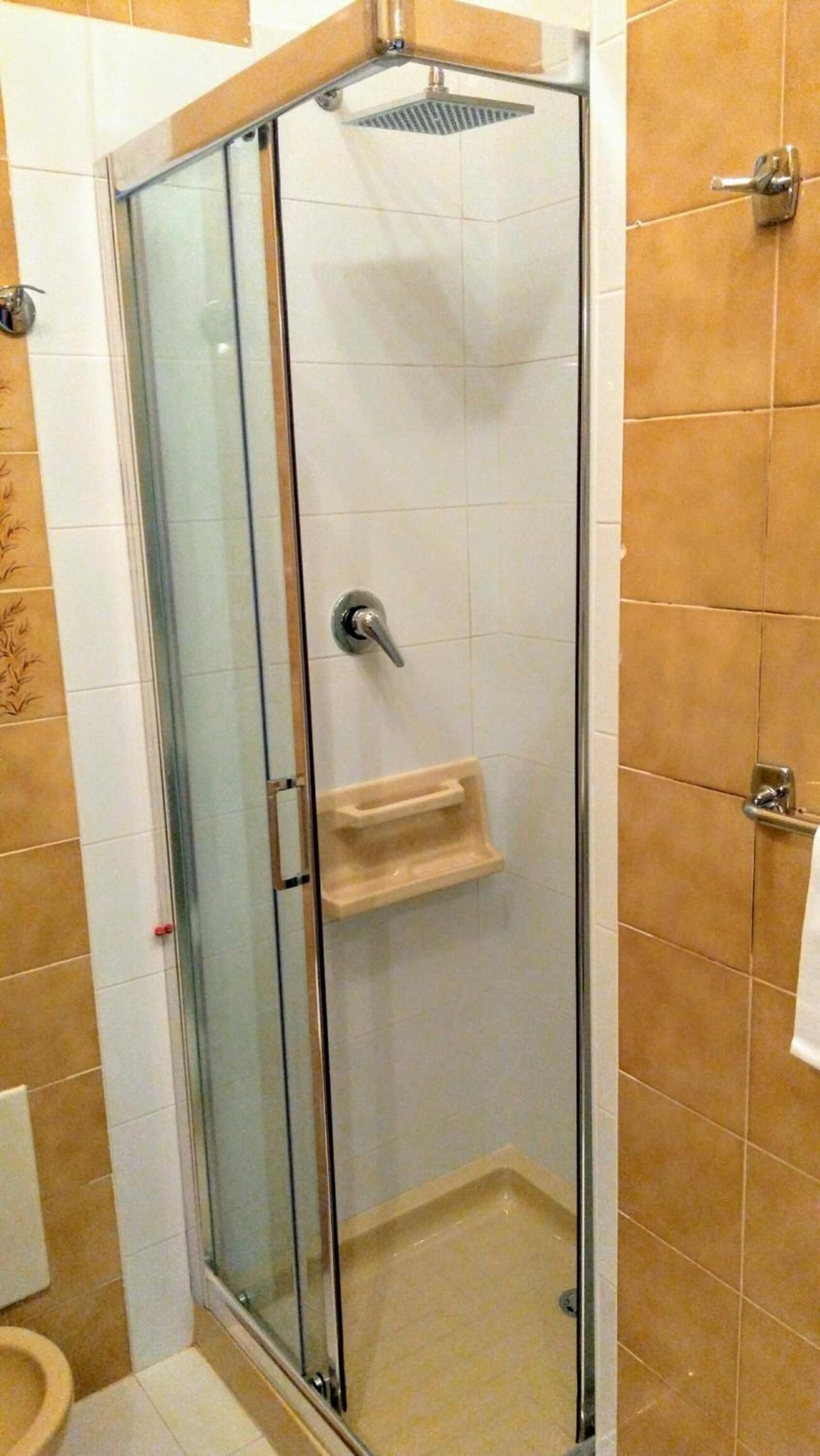 A glass-enclosed shower stall with a handheld showerhead, a small shelf, and a toilet visible in the adjacent room.