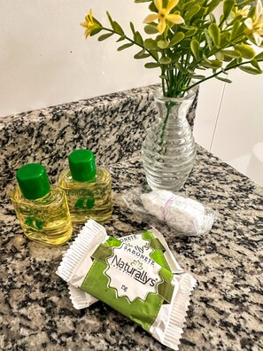 Shower, hair dryer, towels, soap