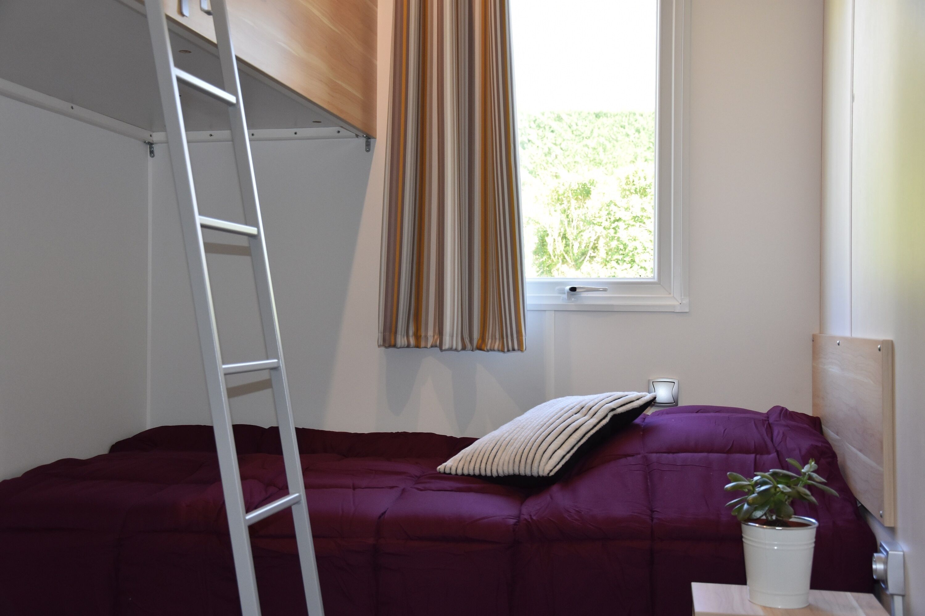 Una habitación con una cama individual superpuesta, una escalera, una ventana con cortinas y una planta en maceta.