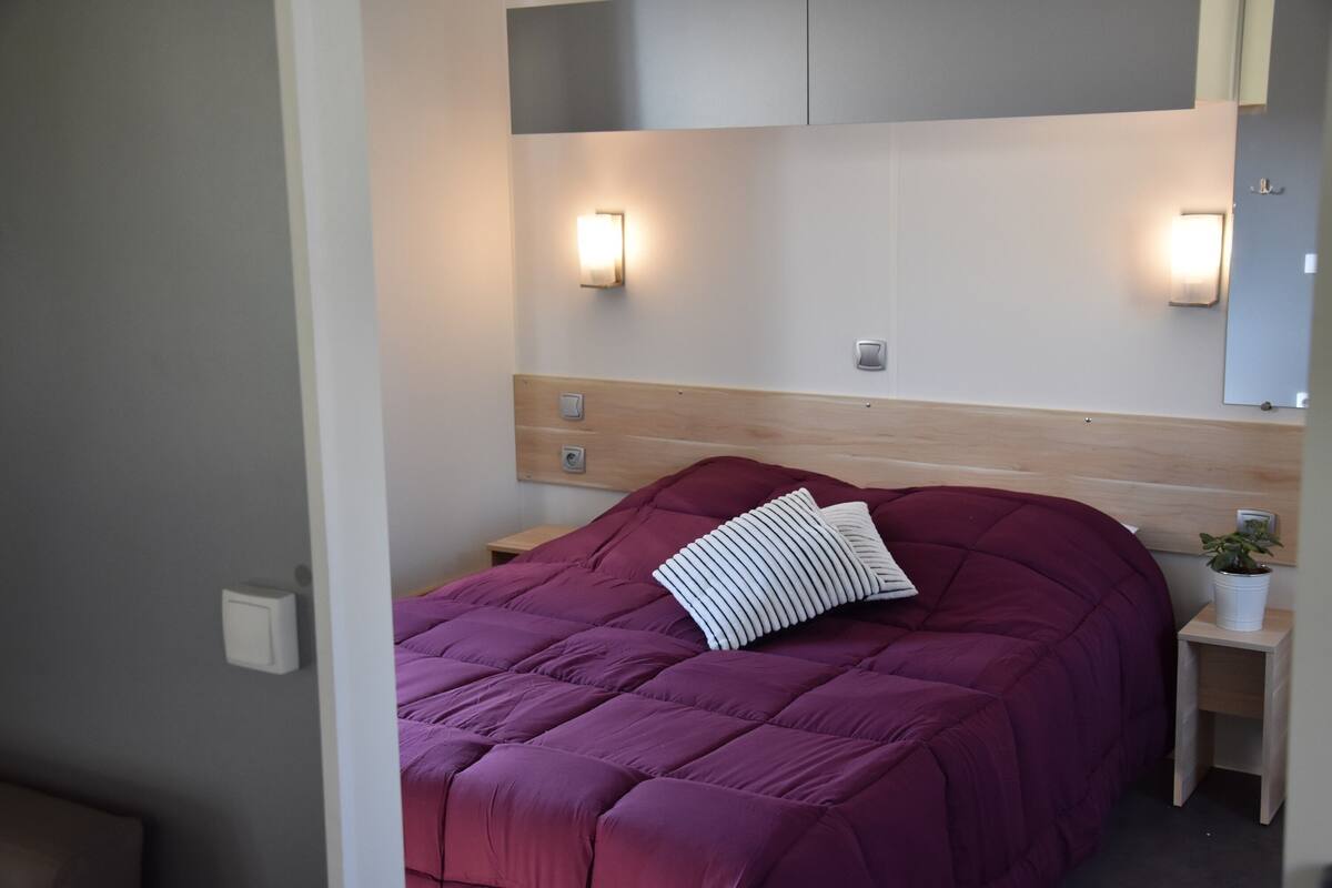 Une chambre à coucher avec un grand lit, deux lampes de chevet, une table de chevet ornée d’une plante en pot et une tête de lit en bois.