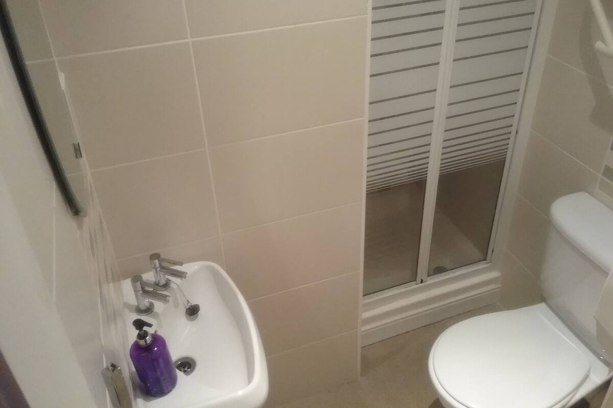 A bathroom with a white sink, a toilet, and a shower with a glass door.