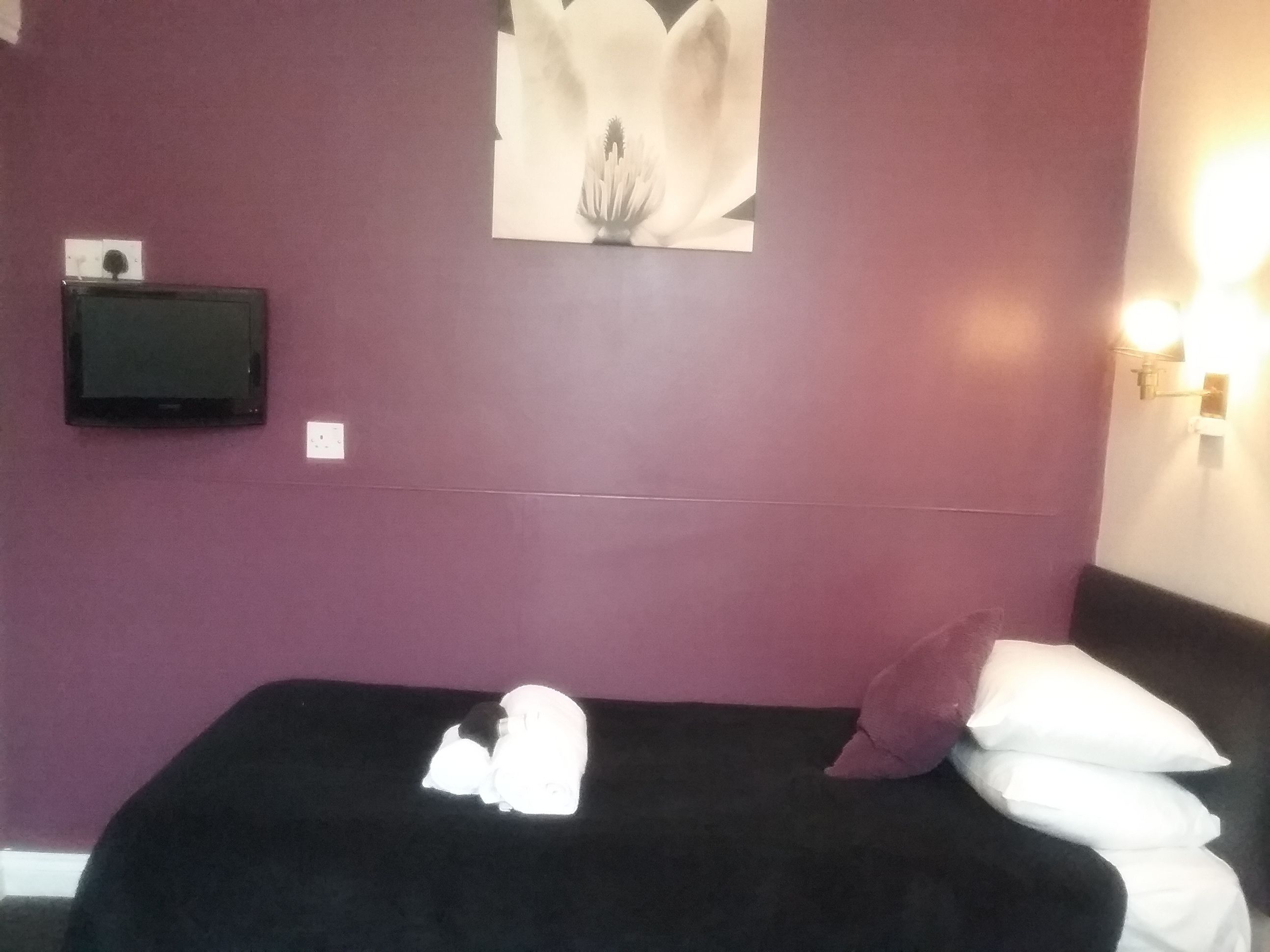 Foto - The Prince Consort