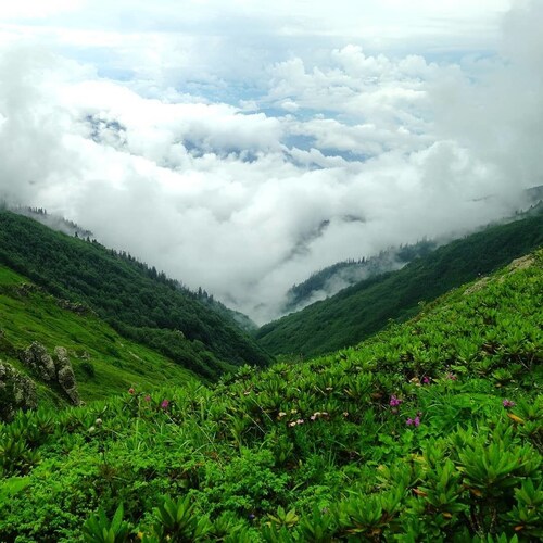 Camping Experience Khulo - Hostel