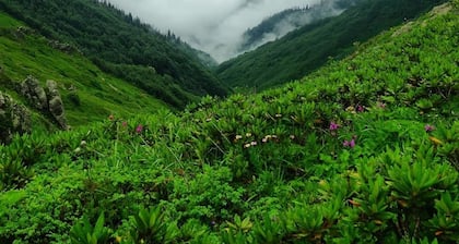 Camping Experience Khulo - Hostel