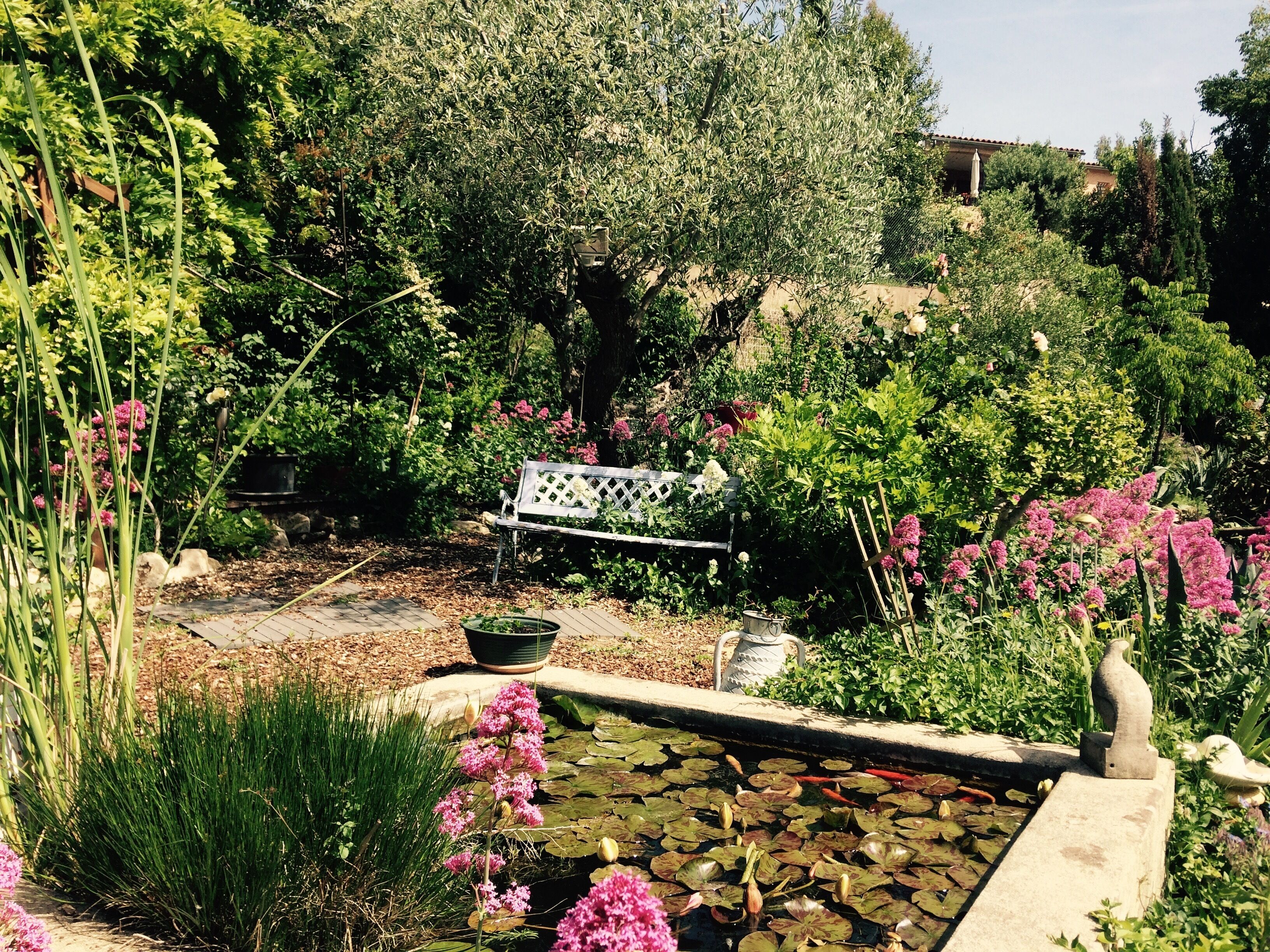 Àrea exterior de l'allotjament