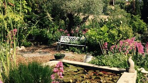 A garden with a pond, a bench, and various plants.