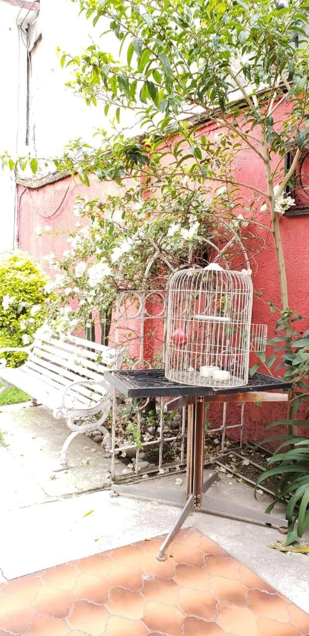 Una jaula de pájaros sobre una mesa, con un banco y una pared roja al fondo.
