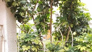 A potted plant with a metal stand in a courtyard. - Anys Bed and Breakfast (Mexico City)