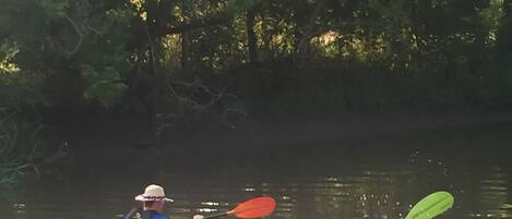 Due kayak su un fiume tranquillo, circondati da fitta vegetazione.