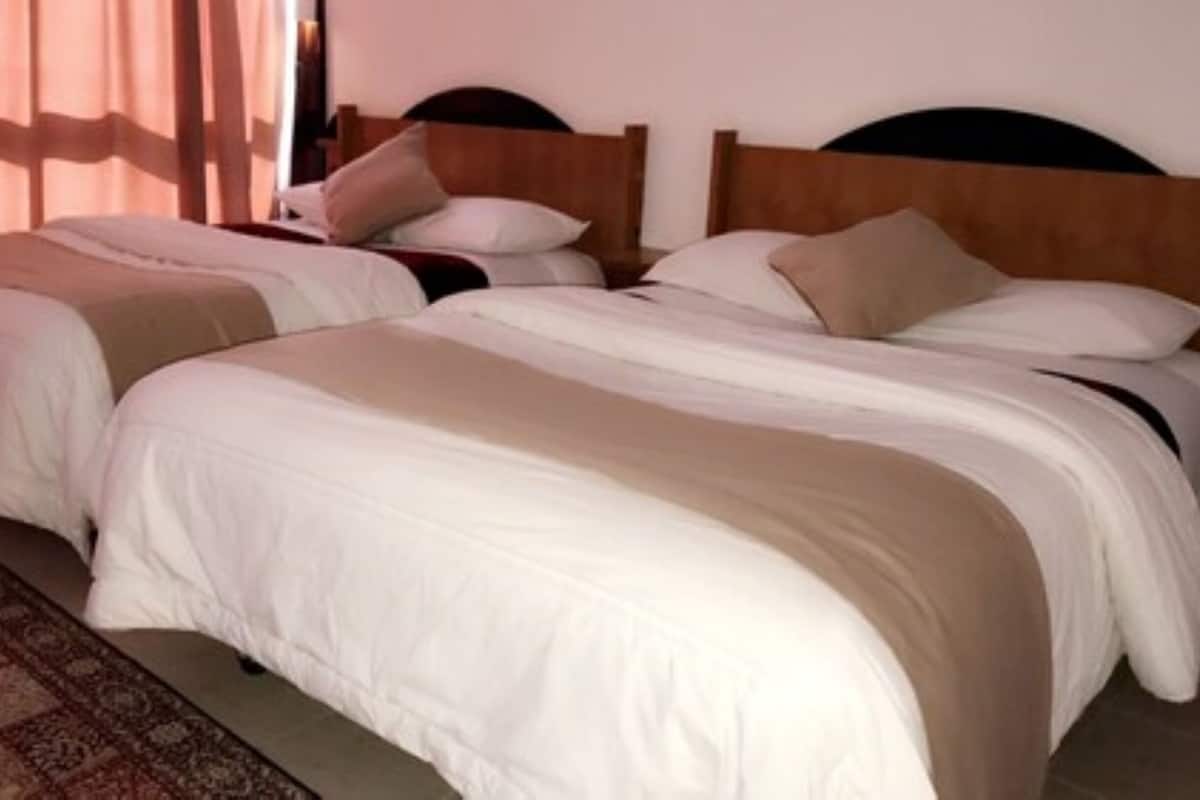 Two beds with wooden headboards, a patterned rug, and a window with curtains.