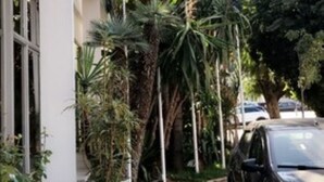 Un bâtiment orné de plusieurs drapeaux, un pot de fleurs et une voiture garée.