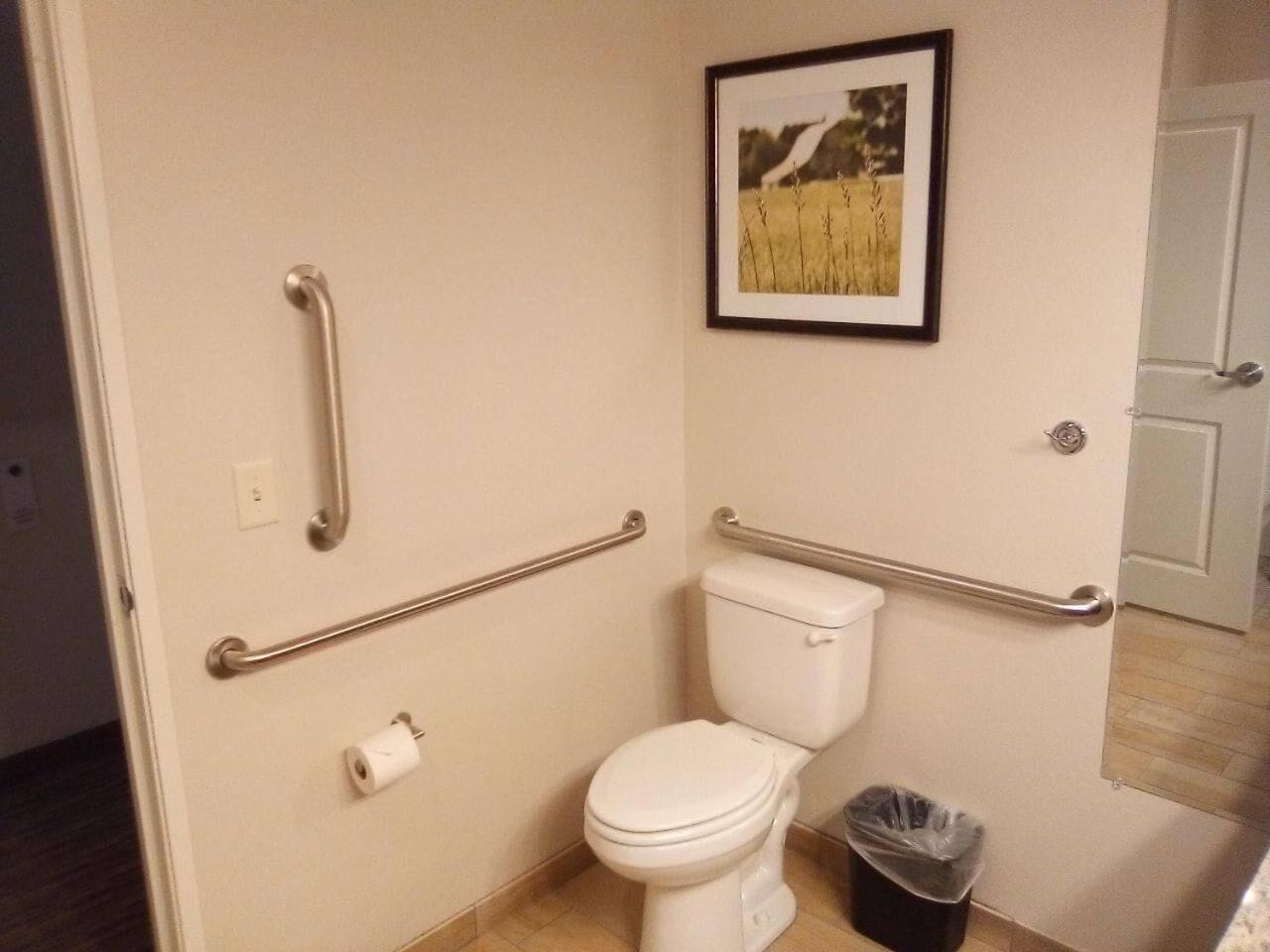 Ein Badezimmer mit Toilette, Handläufe, einem Bild an der Wand und einem Mülleimer.