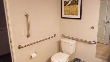 A bathroom with a white toilet, a handrail, a picture on the wall, and a trash can.