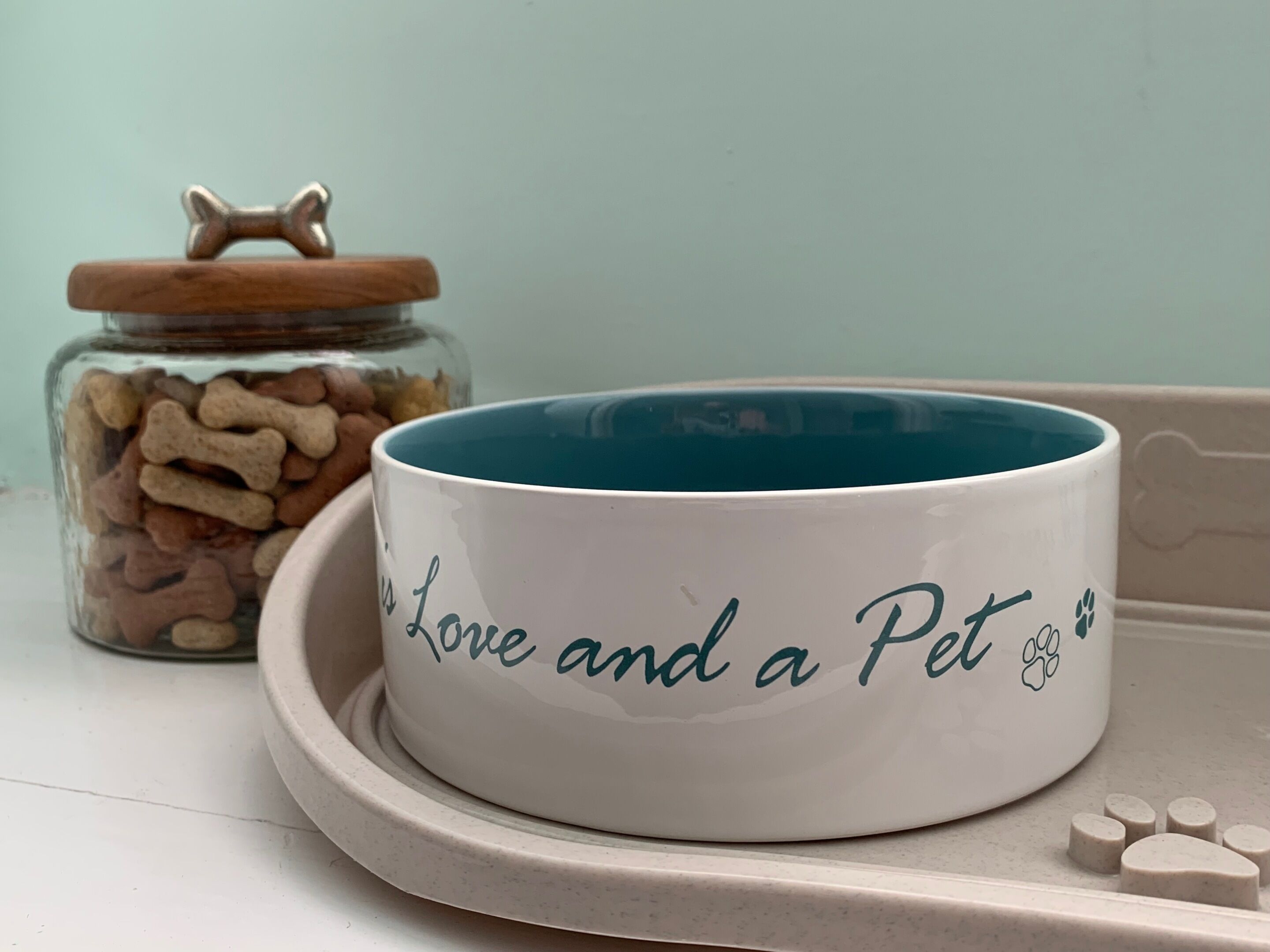 A white ceramic bowl with teal interior and the inscription "I Love and a Pet" on a beige tray.