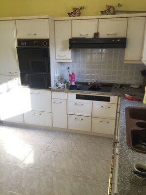 Private kitchen - Villa de Elesia (Lipsoi)