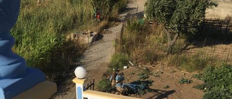 Biệt thự, quang cảnh biển | Quang cảnh từ phòng