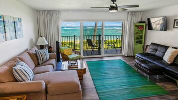 TV, DVD player, books, video library