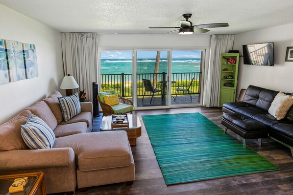 TV, DVD player, books, video library