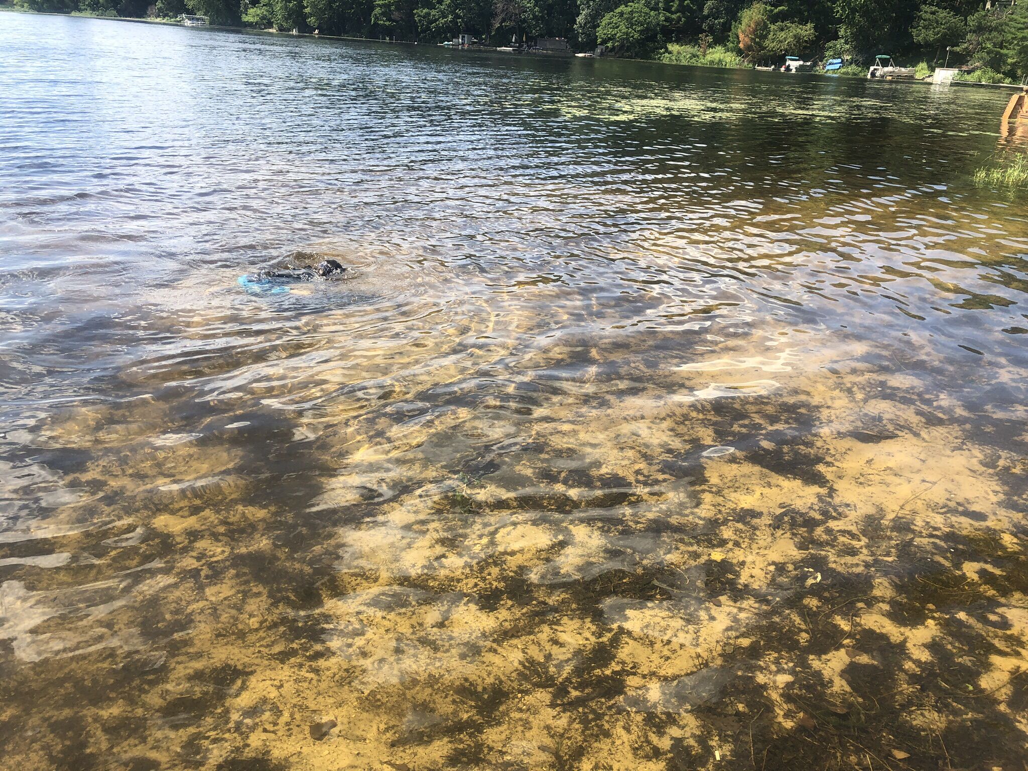 En flod med klart vatten där man kan se botten.