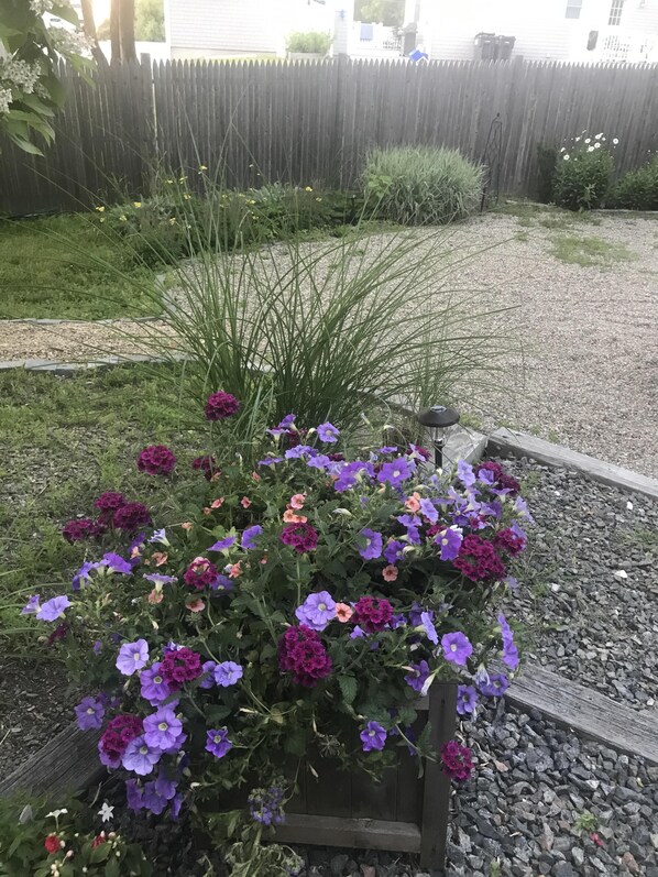 Un jardín con diversas flores y una cerca de madera al fondo.