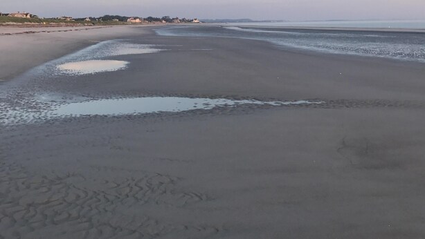 Een uitgestrekt strand met een heldere lucht.