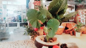 Property amenity - Queen Ponaland Homestay (Phong Nha)