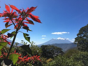Uitzicht vanuit accommodatie