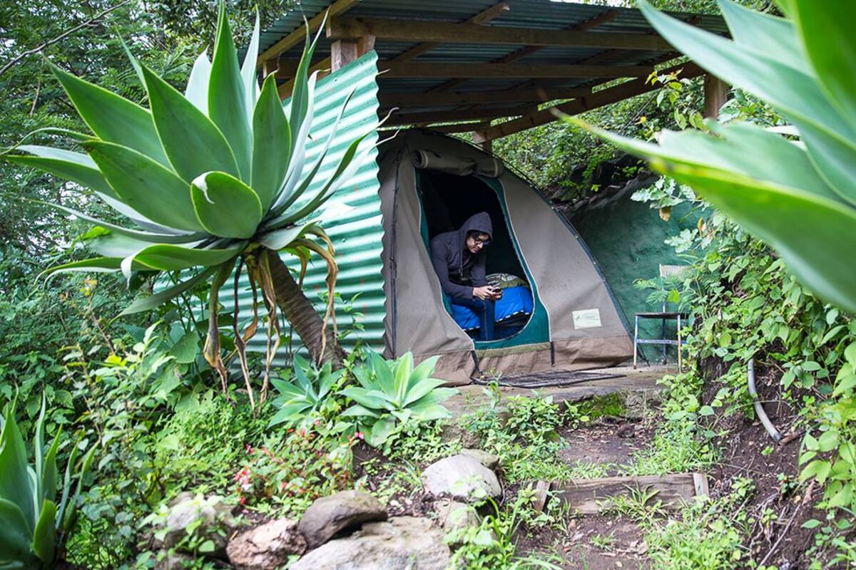 Tent, 1 Double Bed, Shared Bathroom