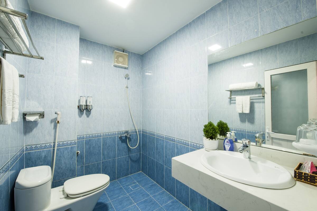 Une salle de bain avec des toilettes, un lavabo et une douche.