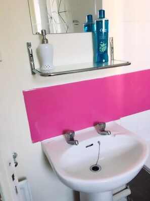 Ducha, toallas, papel higiénico