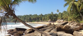 Nest Residence - Hostel