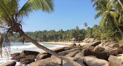 Nest Residence - Hostel