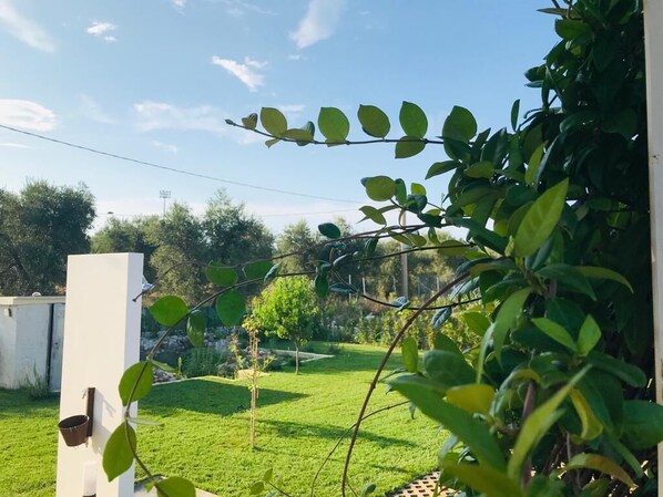 Property grounds - HOLIDAY HOME 400 MT FROM THE SEA AND 1 KM FROM THE CENTER - OASIS WITH GARDEN AND SPA - (Vieste, Italia)