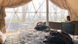 Ein gemütliches Zimmer mit einem großen Fenster, einem Bett mit flauschiger Decke und einem Laptop auf einem Nachttisch.