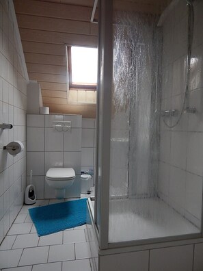 Shower, hair dryer, towels, toilet paper
