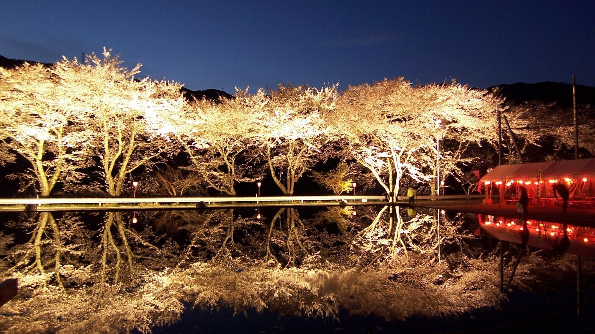 A nighttime scene with trees illuminated by artificial lights, a bridge, and a red structure reflecting on a body of water.