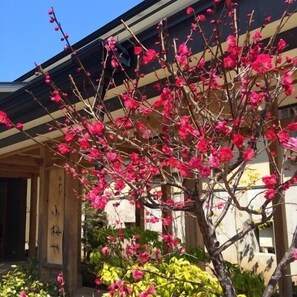 Property grounds - Shiobara Onsen Oyado Koumeya (Nasushiobara)